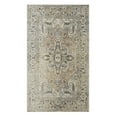 thumbnail image 1 of Mohawk Home Theodora Floral Indoor Polyester Area Rug, Anthracite, 2' x 2'11", 1 of 8