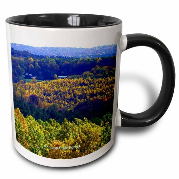 3drose, Mohican State Forest in Autumn, 15oz Two-tone Black Mug