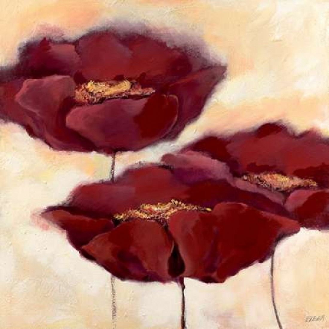 Mohn in Milch II Canvas Art - Elena Filatov (24 x 24)