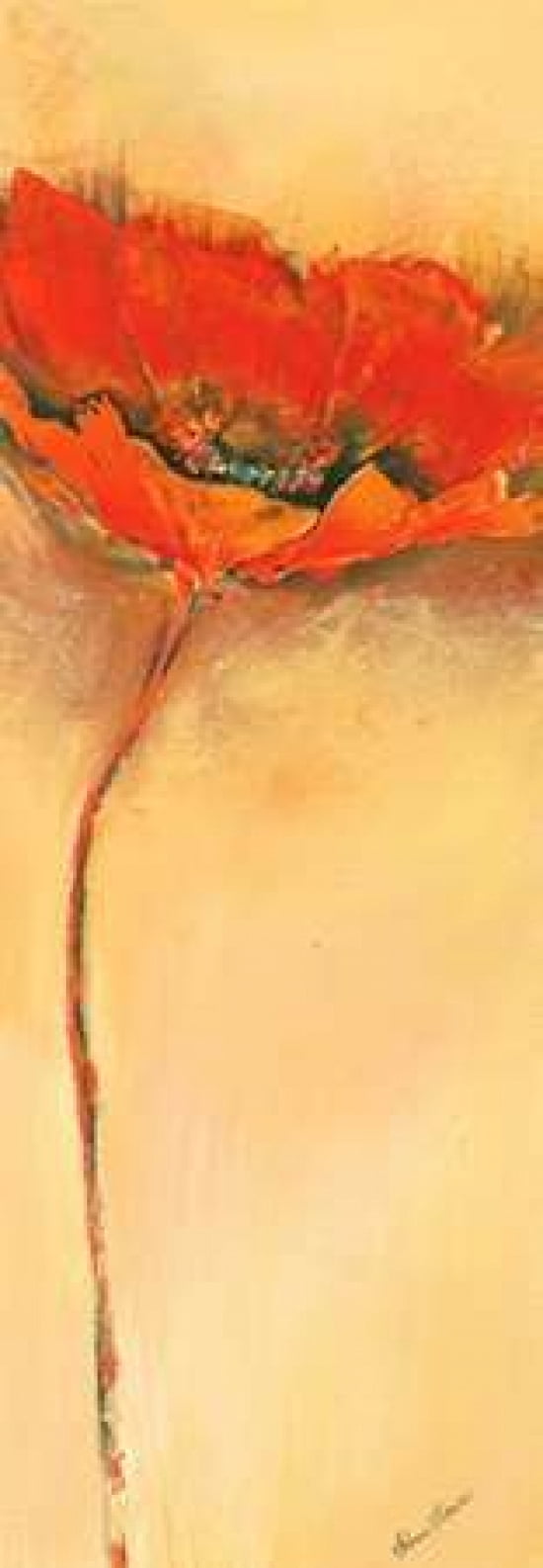 Mohnbl??te III Canvas Art - Elena Filatov (24 x 48)