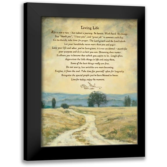 Mohr, Bonnie 12x14 Black Modern Framed Museum Art Print Titled - Living Life