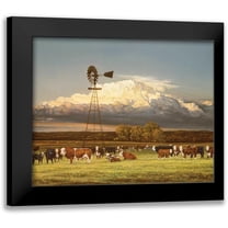Mohr, Bonnie 14x12 Black Modern Framed Museum Art Print Titled - Summer Pastures