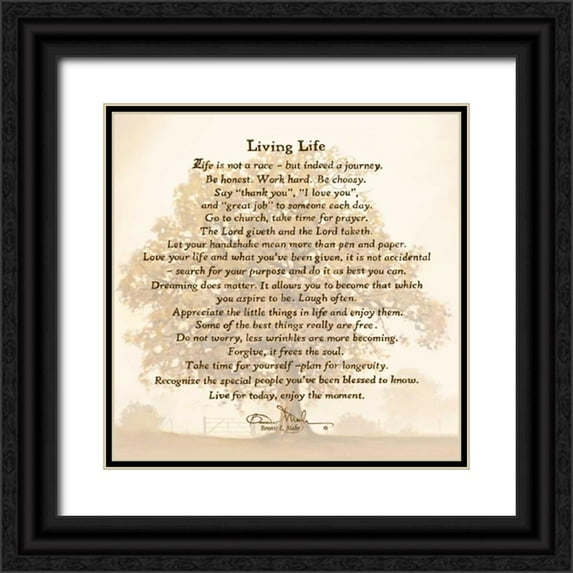Mohr, Bonnie 20x20 Black Ornate Wood Framed with Double Matting Museum Art Print Titled - Living Life