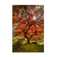 thumbnail image 1 of Trademark Fine Art Moises Levy The Tree Vertical Canvas Wall Art - 22x32, 1 of 4