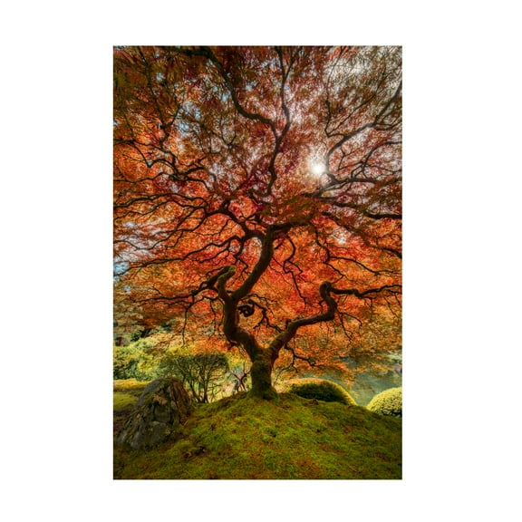 Trademark Fine Art Moises Levy The Tree Vertical Canvas Wall Art - 12x19