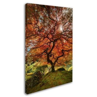 Moises Levy 'The Tree Vertical' Canvas Art