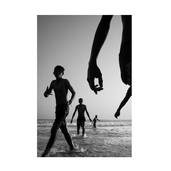 Moises Levy 'Tropical Shadows 37' Canvas Art
