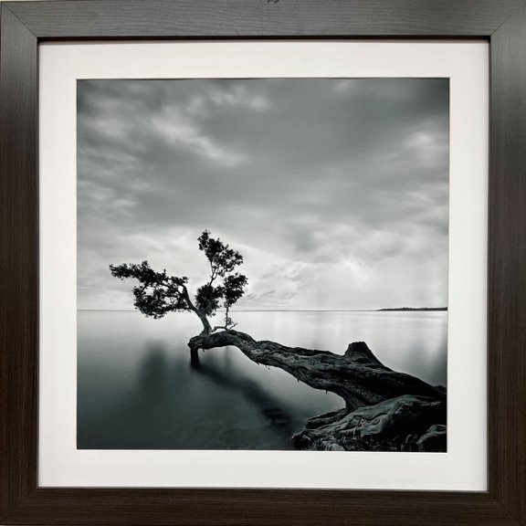 Moishe Levy "Water Tree" Custom Framed lithograph ART Generic