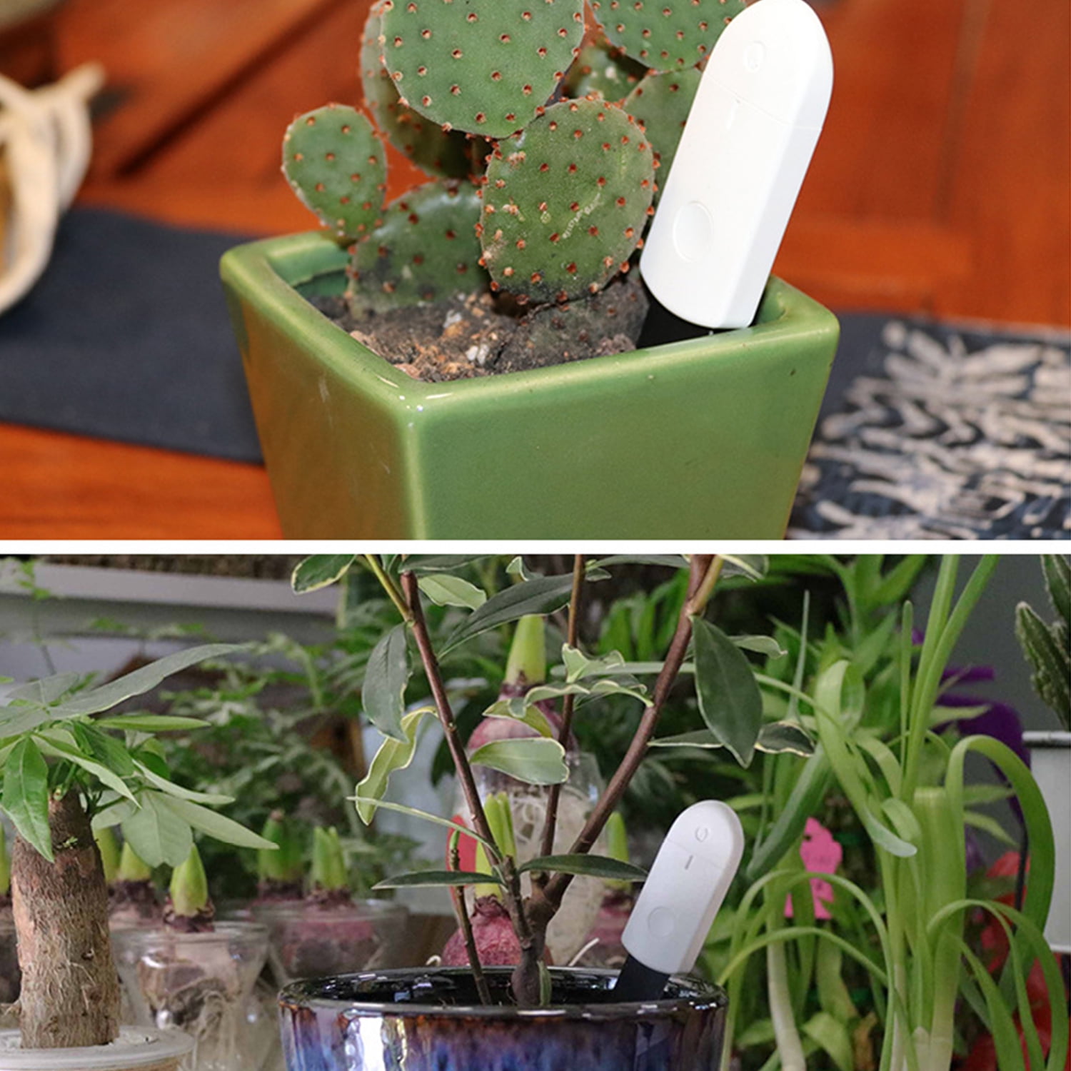 Moisture Meter,Soil Moisture Soil Bonsai Moisture Meter Plant Flowers Soil Plant Ers Soil Meter