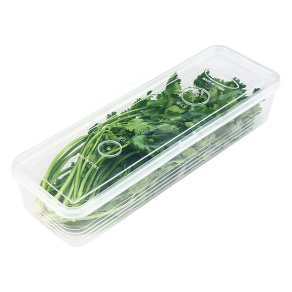 Moisture Proof Rectangular Food Storage Box For Herbs And Spices In The Kitchens