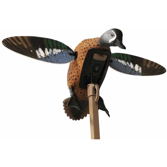 Mojo Elite Series Blue Wing Teal Duck Hunting Decoy, HW2475-3P