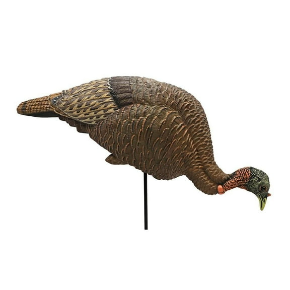 Huntwise dba MOJO Outdoors Turkey Decoys|Hunting Huntwise dba MOJO Outdoors MOJO Feeder / Breeder Hen Turkey Decoy Buy At Cross Toss Trading