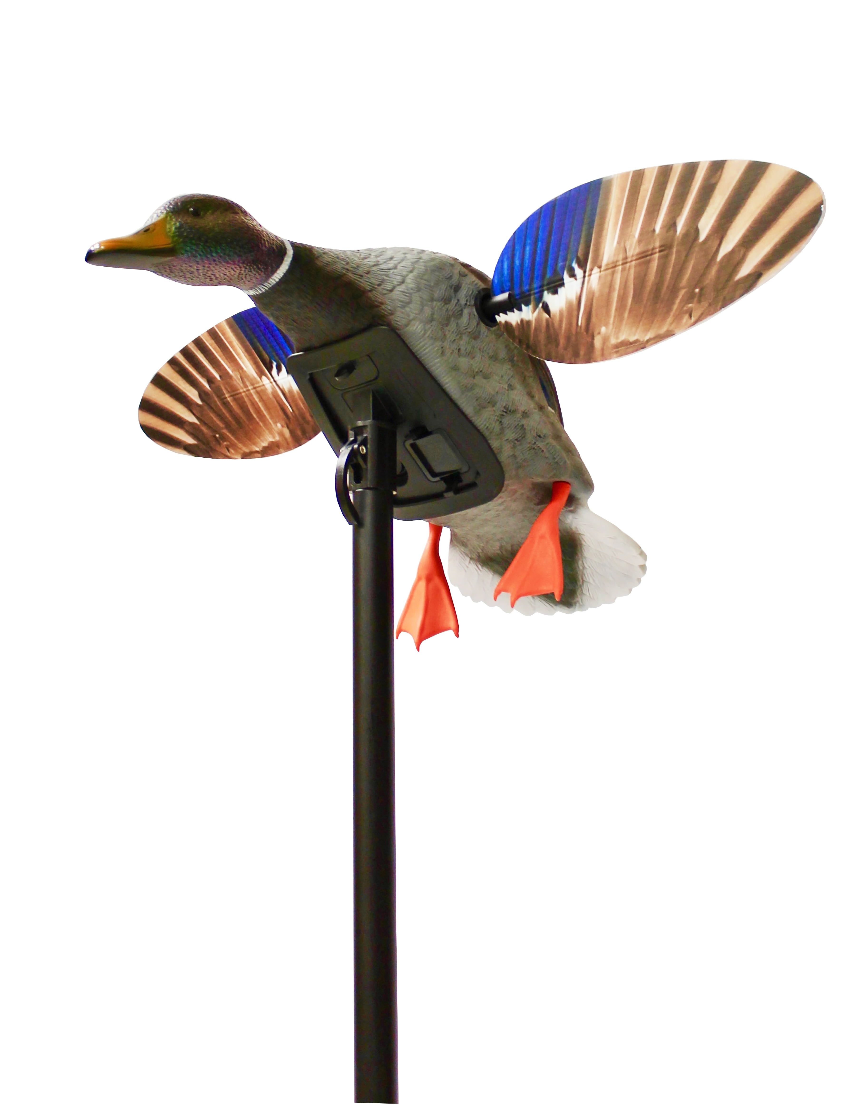 Mojo Outdoor Elite Series Mini Mallard Hen Waterfowl Duck Decoy, 1