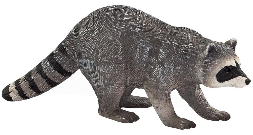 MOJO Racoon Realistic International Wildlife Hand Painted Toy Figurine ...