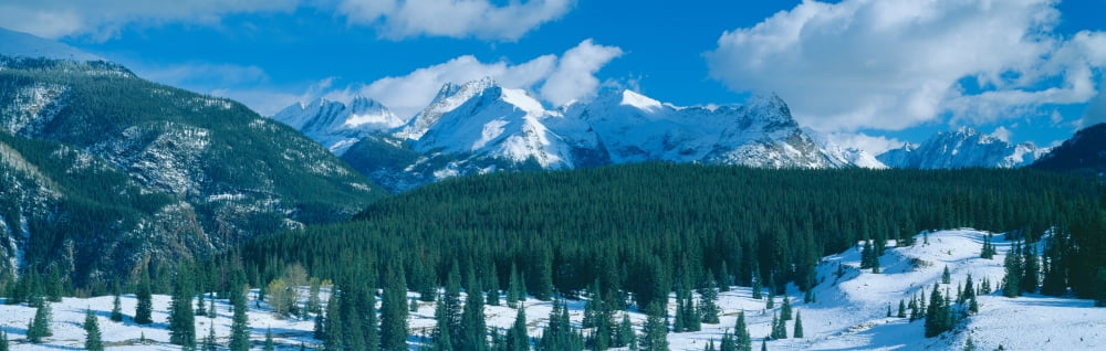 Molas Pass summit Million Dollar Highway Rte 550 Colorado Canvas Art - Panoramic Images (36 x 12)