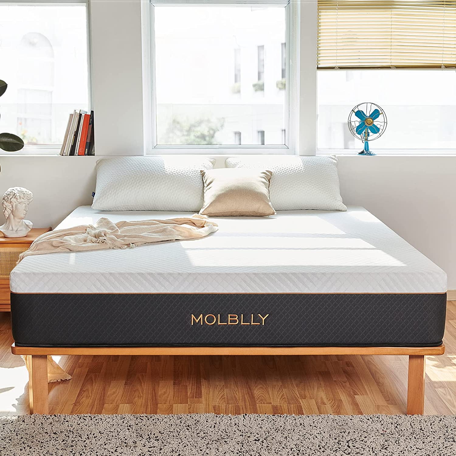 Molblly King Mattress Hybrid 12 inch King Size Mattress in a Box with