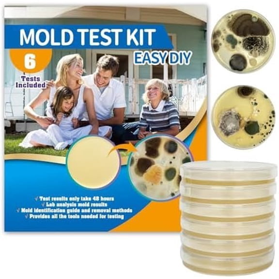 Mold Test Kit for -DIY Mold Testing Kit with 6 Individual Tests-Black Mold Detector-Indoor Air Quality Tester-Mold Guide-Free Lab Analysis- and Reliable Mold Detector at