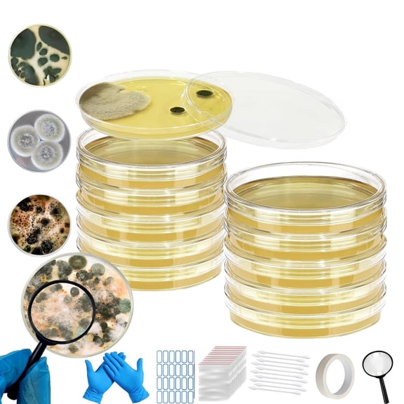 Mold Test Kit For Home Use 10 Indoor Air And Surface Mold Detector With Lab Accurate Results Basements Bathrooms HVAC