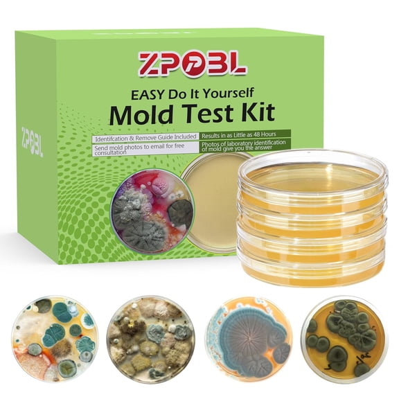 Mold Test Kit for Home, 4 Detection Tests for HVAC, Surfaces & Indoor Air Quality, DIY Black Home Mold Detector Testing kit, Identification Guide & Free Lab Analysis Included