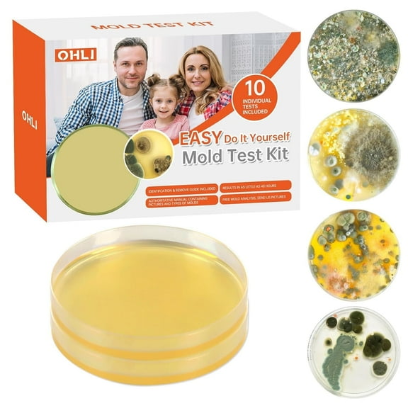 Mold Test Kit for Home Within 2 Individual Tests,Test HVAC,Home Surfaces,Indoor Air Quality Testing Kits,Skin Test,DIY Black Mold Detector Testing kit,Mold Identification Guide-Free Lab Analysis