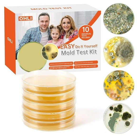 Mold Test Kit for Home Within 5 Individual Tests,Test HVAC,Home Surfaces,Indoor Air Quality Testing Kits,Skin Test,DIY Black Mold Detector Testing kit,Mold Identification Guide-Free Lab Analysis