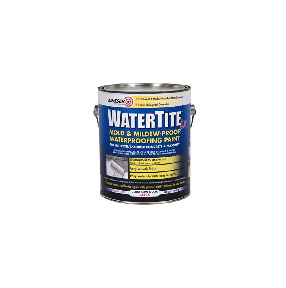 Mold and Mildew Paint, 1 gal., White - Walmart.com