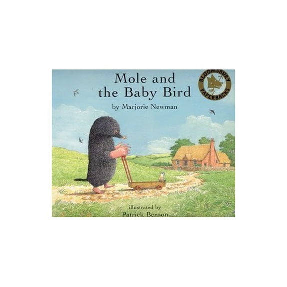 Pre-Owned Mole and the Baby Bird (Paperback) 0747561192 9780747561194
