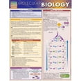 thumbnail image 1 of Molecular Biology Quickstudy Easel, 1 of 1