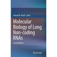 thumbnail image 1 of Molecular Biology of Long Non-Coding Rnas, (Hardcover), 1 of 1