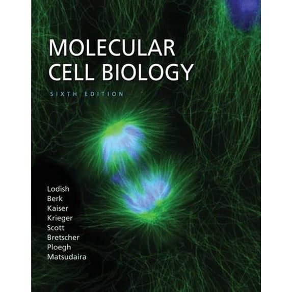 Pre-Owned Molecular Cell Biology (Hardcover) 1429203145 9781429203142