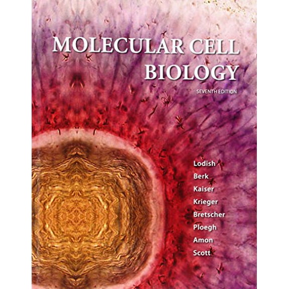 Pre-Owned Molecular Cell Biology (Hardcover) 142923413X 9781429234139