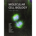 thumbnail image 1 of Pre-Owned Molecular Cell Biology (Hardcover) 0716776014 9780716776017, 1 of 1