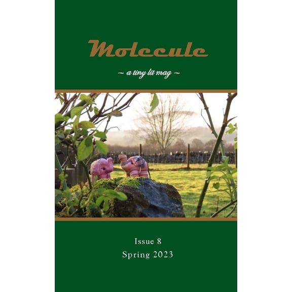 Molecule: A Tiny Lit Mag: Molecule : a tiny lit mag #8: Spring 2023 (Series #8) (Paperback)