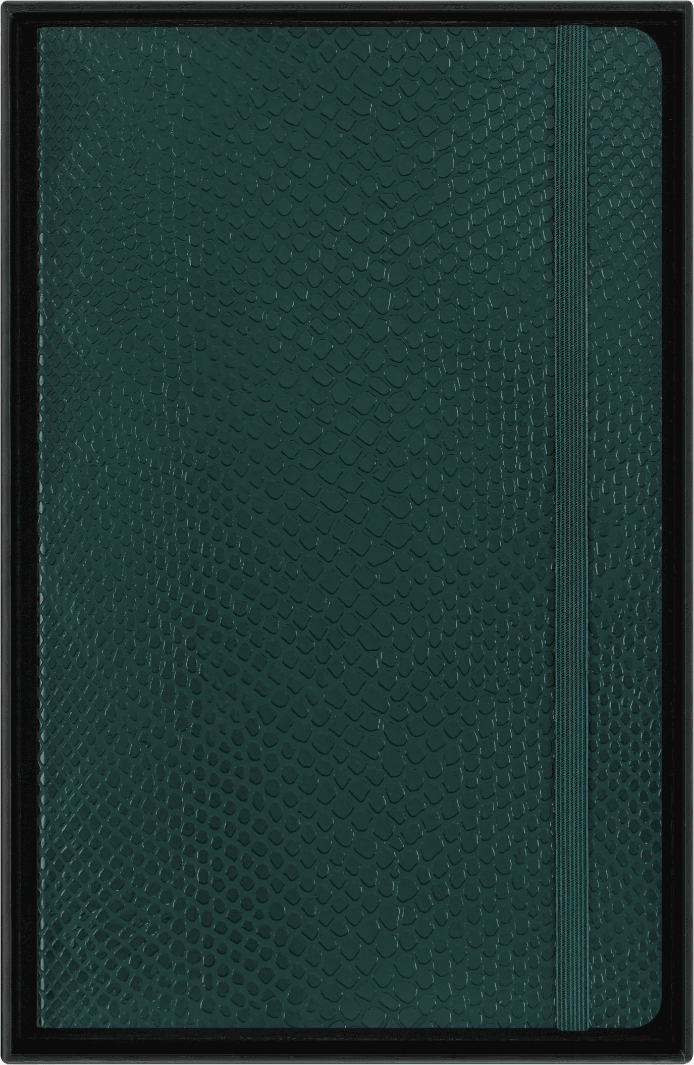 Molekine Precious & Ethical Notebook with Gift Box, Vegan Soft Cover, Imitation Python, Large (5" x 8.25"), Ruled, Green, 176 Pages