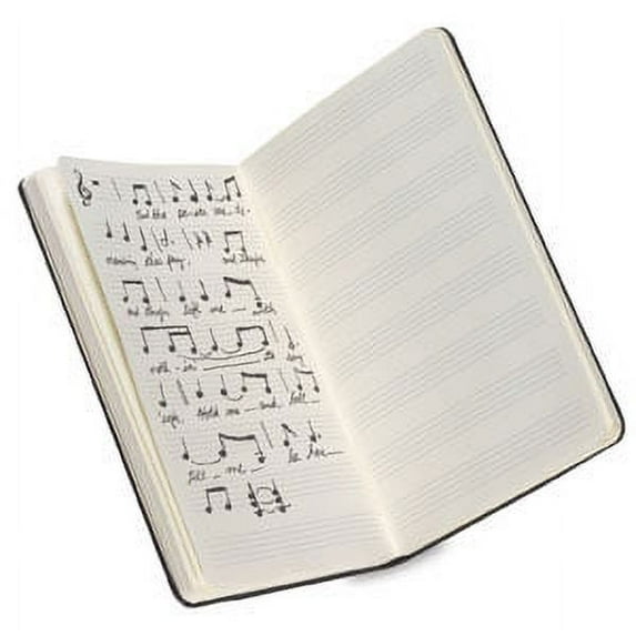 Moleskine Classic Notebooks