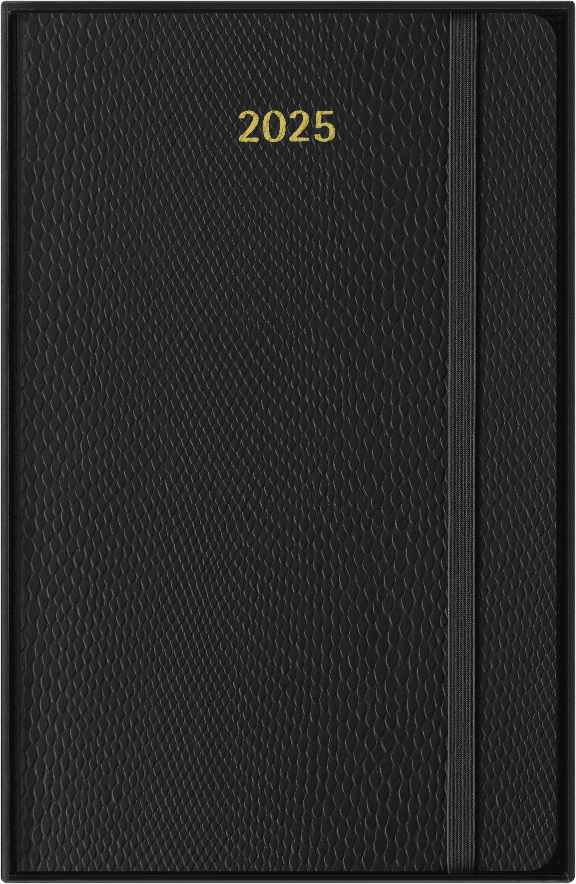 Moleskine Precious & Ethical Notitieboek, met geschenkdoos, zachte veganistische omslag, python-effect, elastische sluiting, XL-formaat, 19 x 25 cm, groen