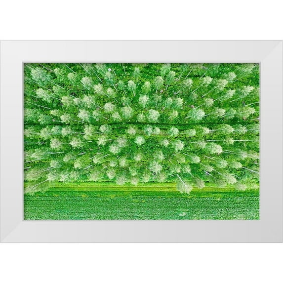 Molinari, Michele 14x11 White Modern Wood Framed Museum Art Print Titled - Finlandia-Savonlinna-forest