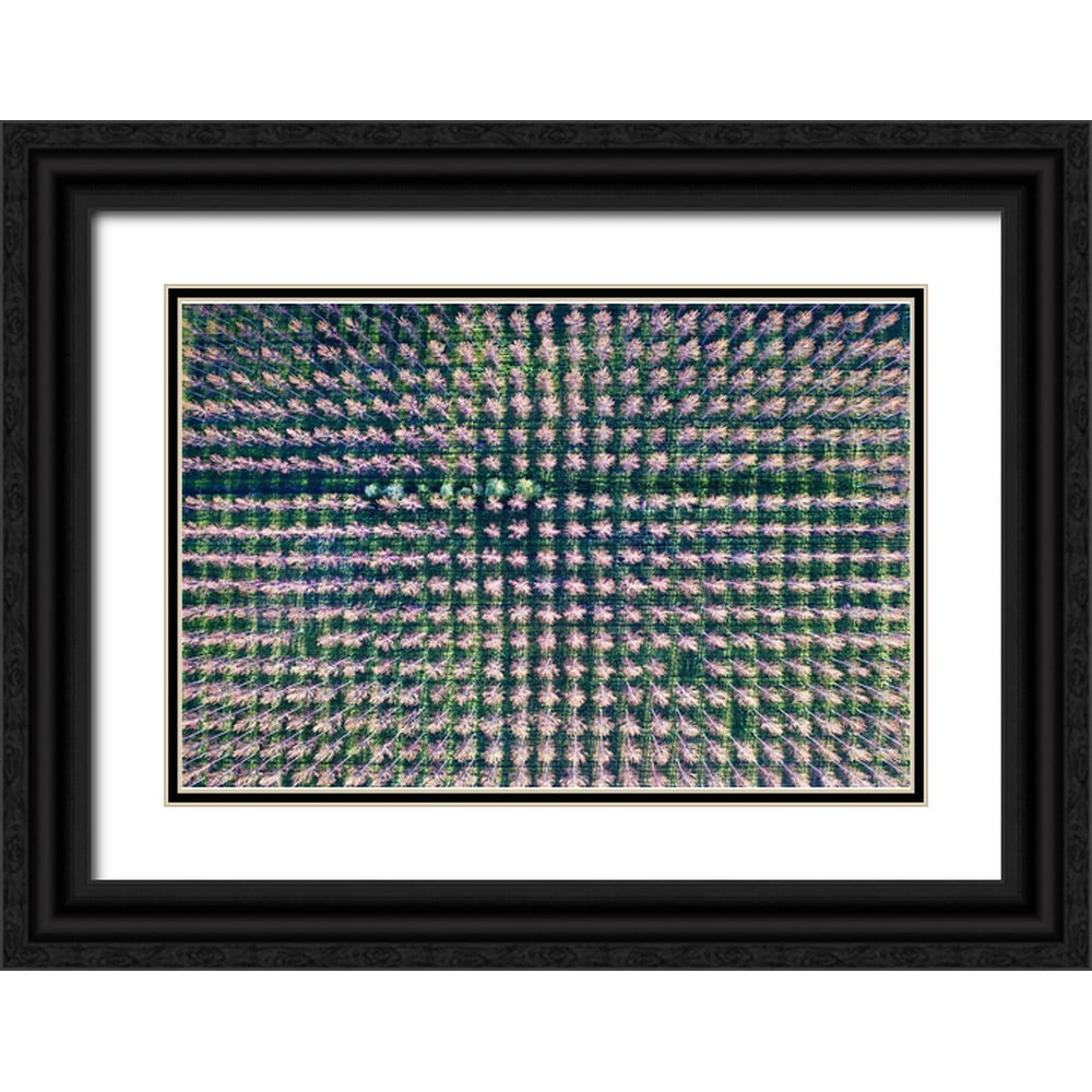 Molinari, Michele 18x13 Black Ornate Wood Framed with Double Matting ...