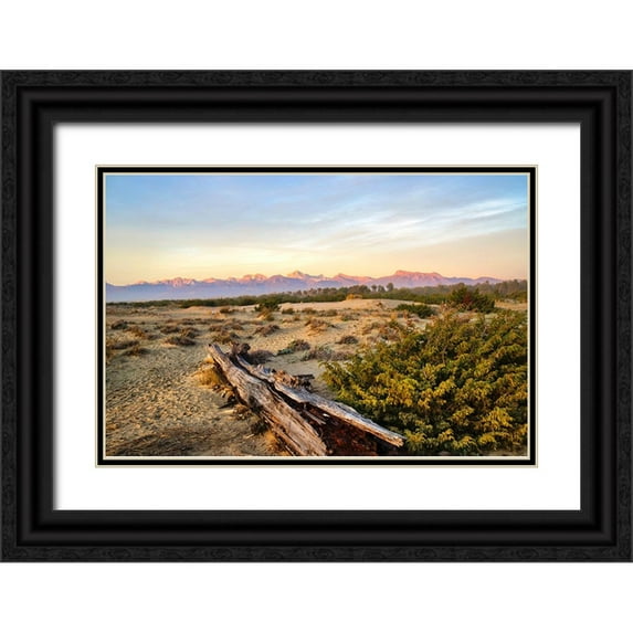 Molinari, Michele 24x17 Black Ornate Wood Framed with Double Matting Museum Art Print Titled - Italy-Riserva Naturale di Massaciuccoli San Rossore-protected coastal forest in Tuscan