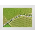 thumbnail image 1 of Molinari, Michele 24x17 White Modern Wood Framed Museum Art Print Titled - Italy-Valpolicella vineyards, 1 of 4