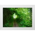 thumbnail image 1 of Molinari, Michele 32x23 White Modern Wood Framed Museum Art Print Titled - Italy-trail in the forest, 1 of 4
