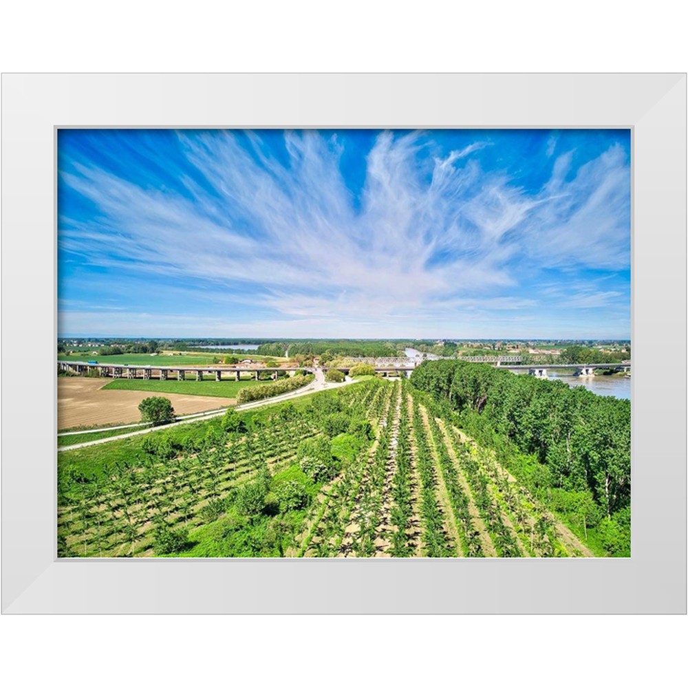 Molinari, Michele 32x25 White Modern Wood Framed Museum Art Print ...