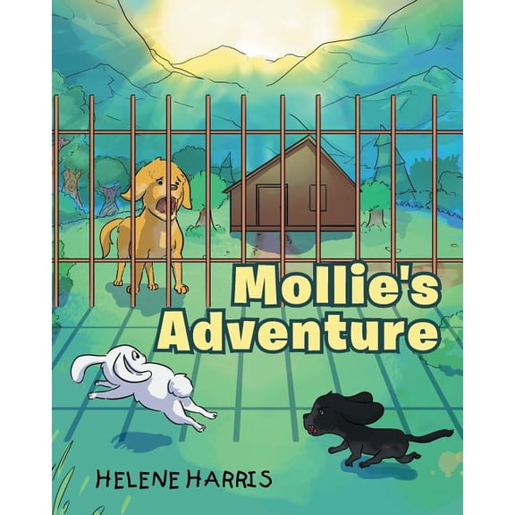 Mollie's Adventure, (Paperback)
