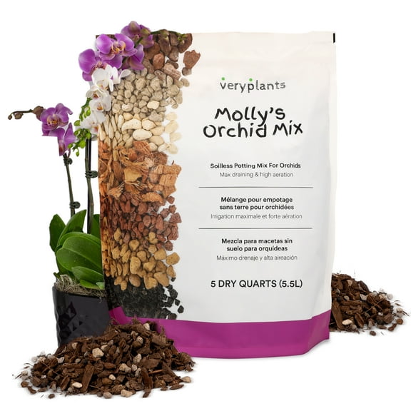 Molly's Orchid Mix - Premium Soilless Potting Mix