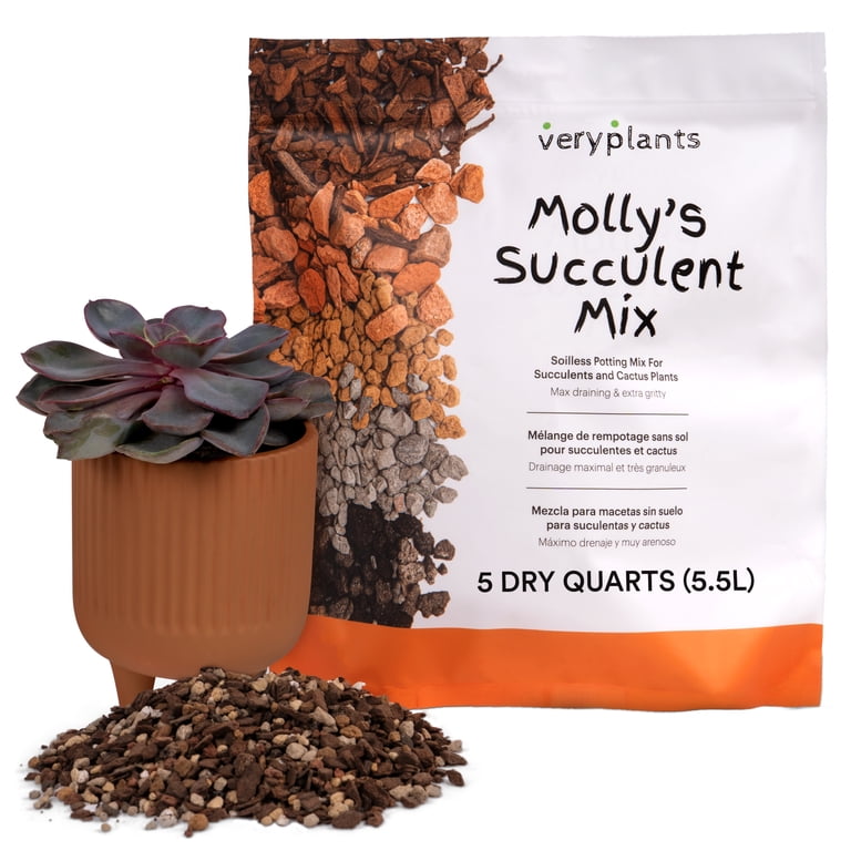 garden sorrel seeds Garden Sorrel Seeds