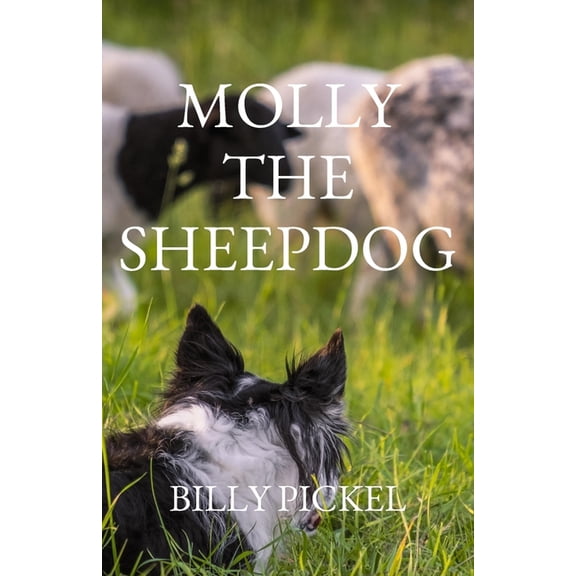 Molly the Sheepdog Molly the Sheepdog, Book 1, (Paperback)