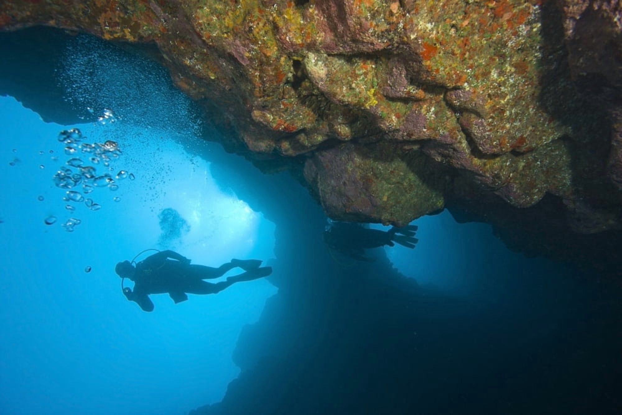 Molokini Maui Hawaii Usa Scuba Diver At A Volcanic Crater Canvas Art - Stuart Westmorland Design Pics (18 x 12)