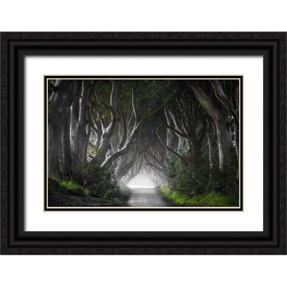Molteni, Nicola 24x17 Black Ornate Wood Framed with Double Matting Museum Art Print Titled - Dark Hedges