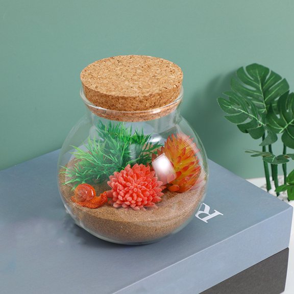 Moluckfu 3Pcs Multi-Purpose Glass Ecological Bottle with Cork for Moss Planting and Decorative Storage
