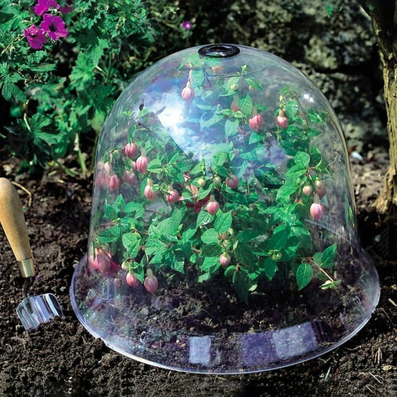 Moluckfu Seedling Insulation Cover Transparent 4Pcs 10.22X10.22X7.86In